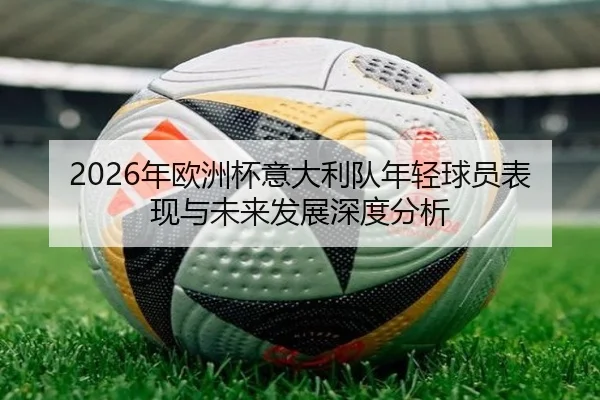 2026年欧洲杯意大利队年轻球员表现与未来发展深度分析