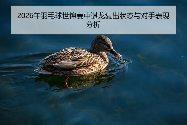 2026年羽毛球世锦赛中谌龙复出状态与对手表现分析