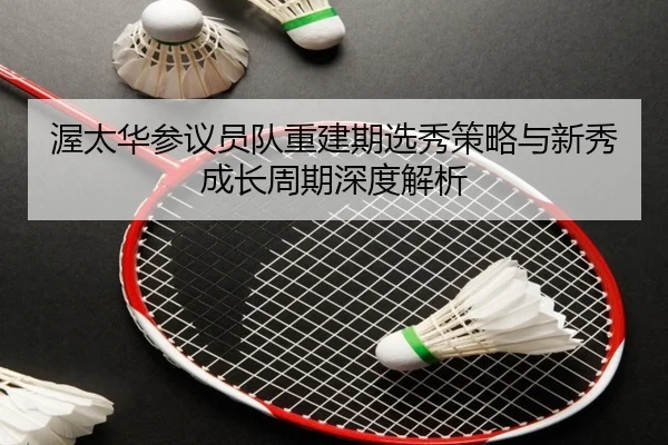 渥太华参议员队重建期选秀策略与新秀成长周期深度解析